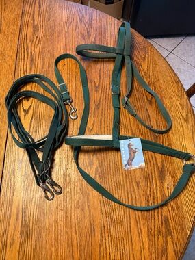 Horse Tack Mustang Green Nylon Noseband Tie Down Matching Reins